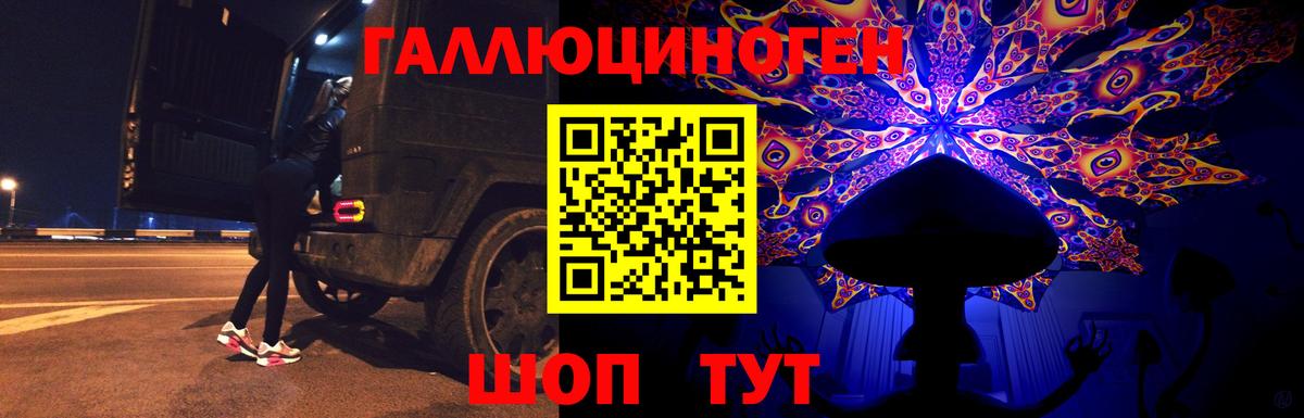 Псилоцибиновые грибы MAGIC MUSHROOMS  Вход с VPN  Сегежа 